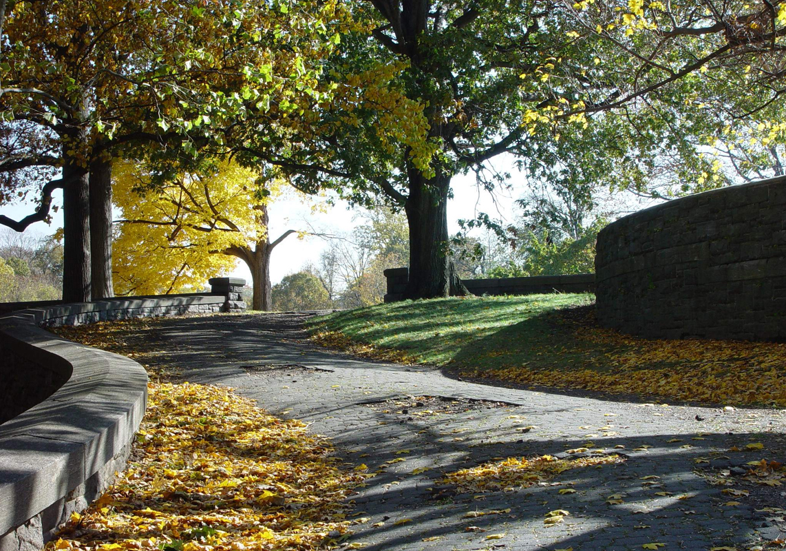 <B>Curved Path</B><BR><FONT size=2>by ferds</FONT>