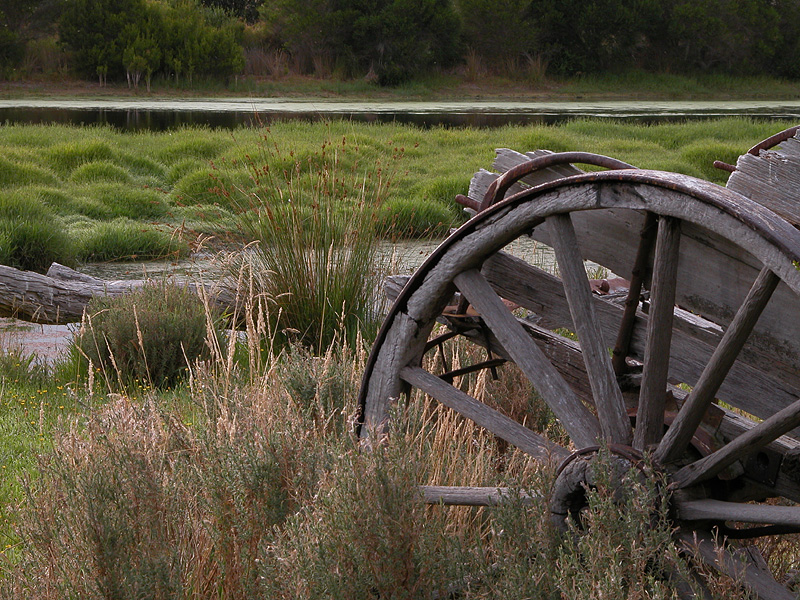10th - <br>Peace of Yesteryear<br><font size=2>by Mike Fitzgerald</font>