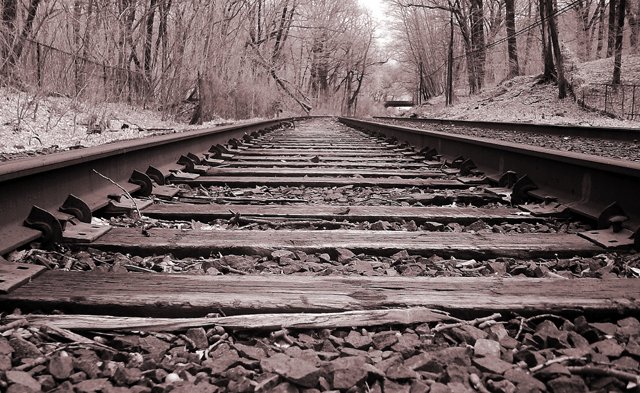 tracks by Harry Behret