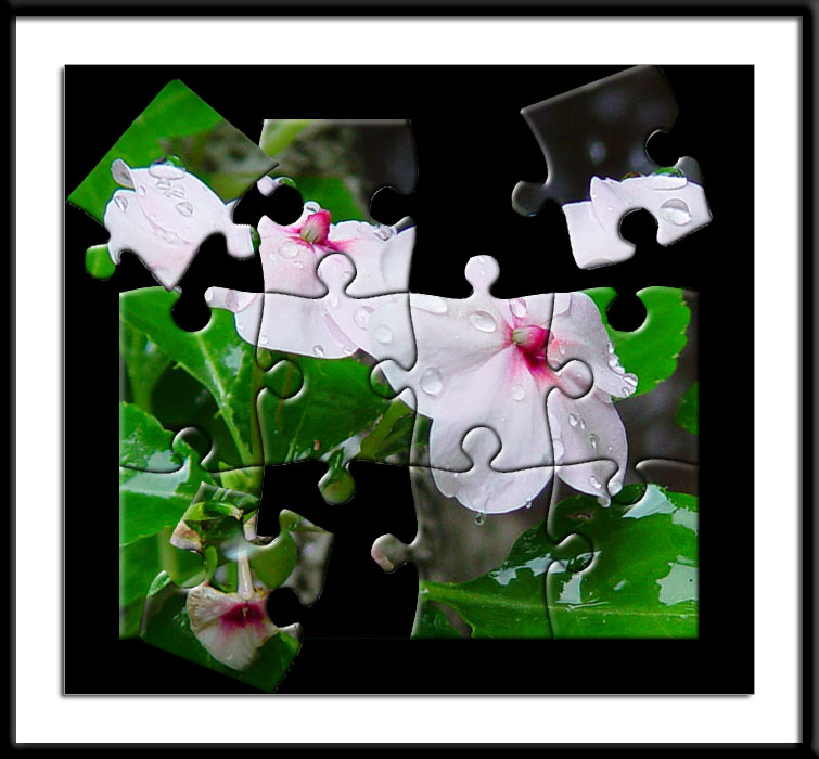<B>7th Place (tie)<br>Missing Pieces</B> <BR><FONT size=2>by Faye White</FONT>