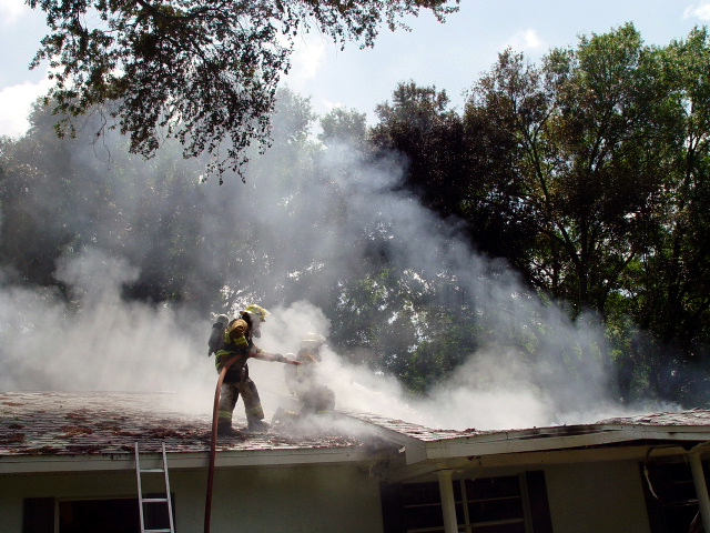 Smokey Roof