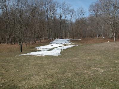 DSCN0685.JPG