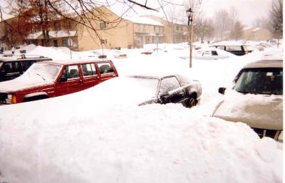 Snow Coverd Cars