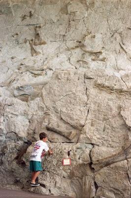 Fossil Bone Quarry