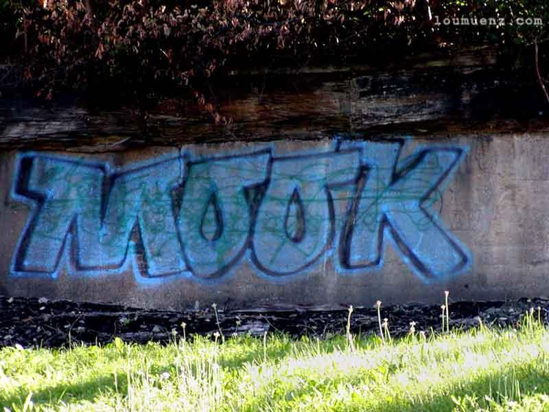 Mook Graffiti at Bottom of Incline