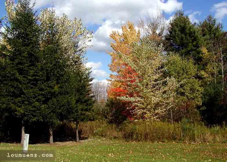 Pymatuning Lake Area