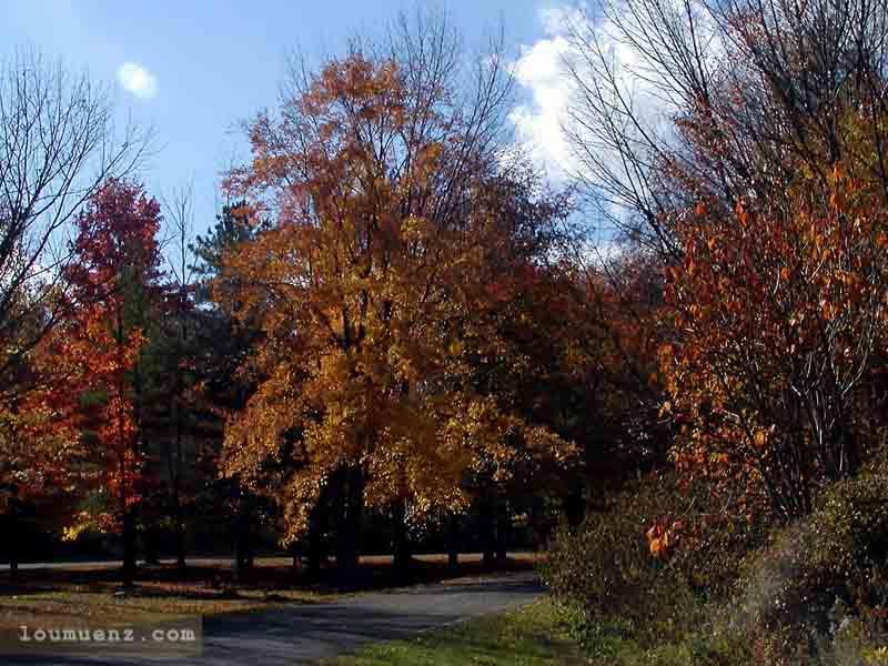 Pymatuning Lake Area