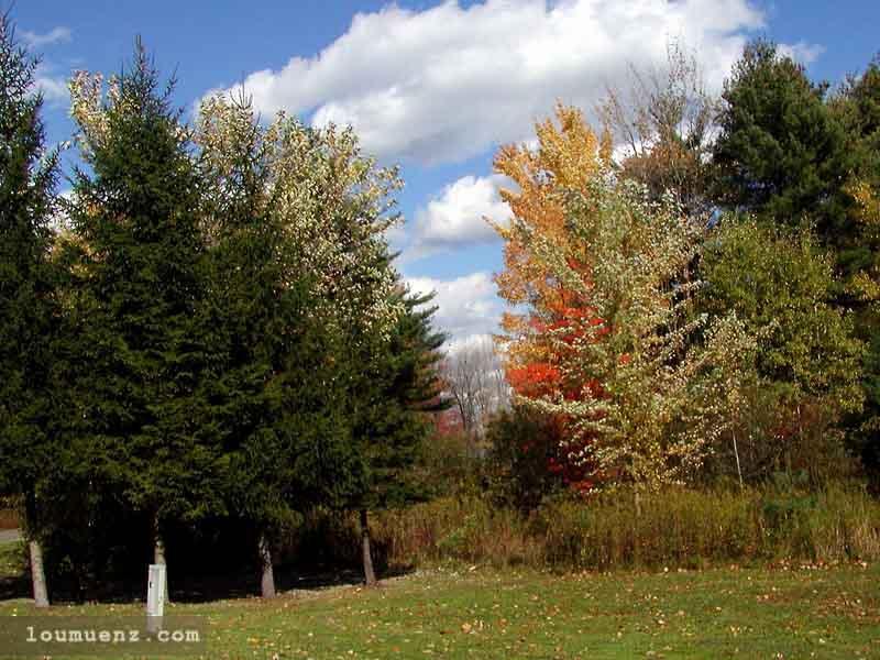 Pymatuning Lake Area