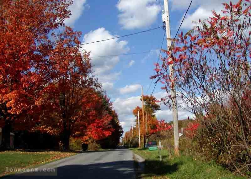 Pymatuning Lake Area, Pennsylvania / Ohio in the Fall - October 2001