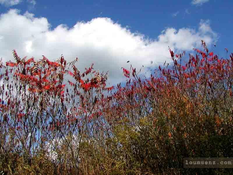 Pymatuning Lake Area