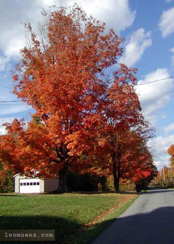 Pymatuning Lake Area