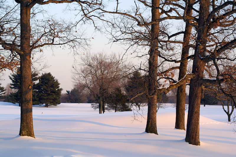 After the Blizzard 5