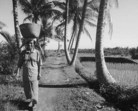 2001 Bali -- old man on his way to the Market