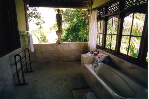 How about this setting for a shower and tub.JPG