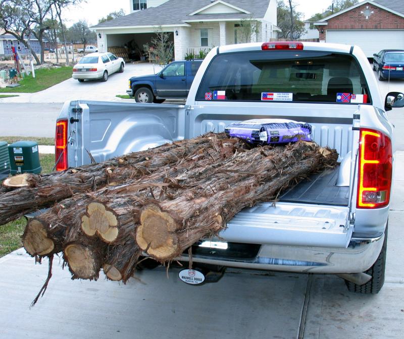 10' Cedar posts for the patio awning