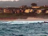 Carmel River State Beach