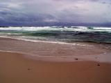 Asilomar State Beach