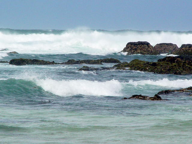 Asilomar State Beach