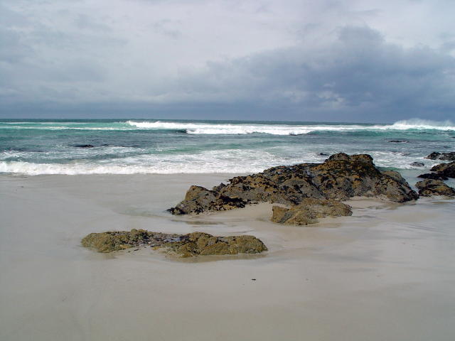 Asilomar State Beach