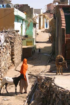 03_India_0473.jpg