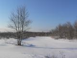 Cridley River 1-late winter[=]