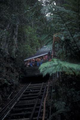 Katoomba Railway - Yes, it's steep!