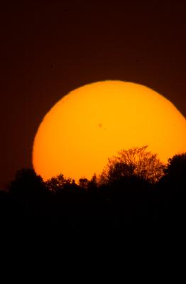 Sunsets