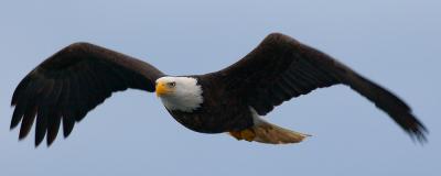 DH021351-MP.jpg