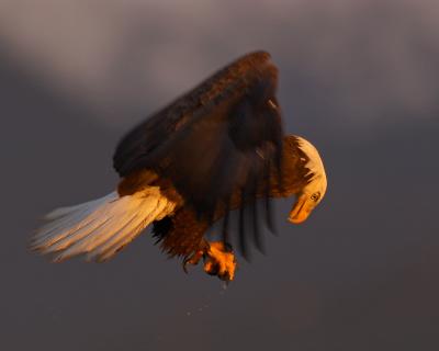 DH023625-M5x4.jpg