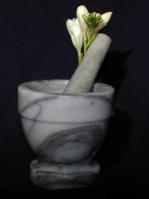 u25/a_j/medium/15009916.NewFoldermortarpestlefreesia.jpg