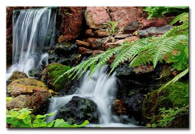 CRW_4559L