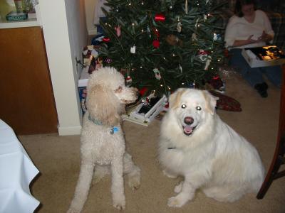 100-0060_IMG.JPG
