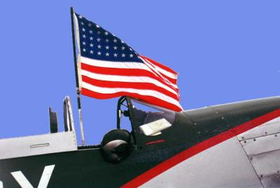 Flag & P51.jpg