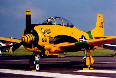 u25/airbusguy2000/medium/14899522.YellowJacket2.jpg