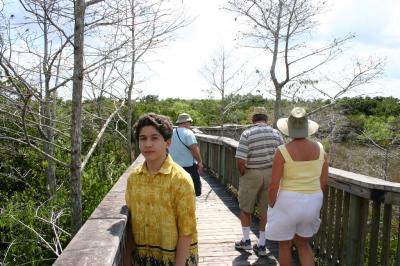 boardwalk in the glades