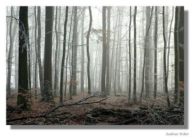 DSC_4069pb.jpg