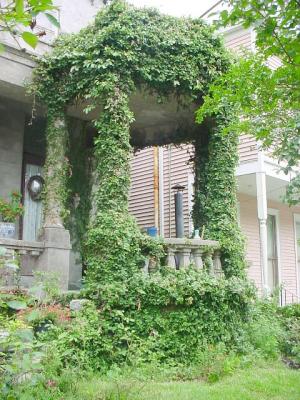 OvergrownEntrance.jpg