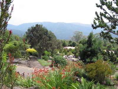 The Native Garden
