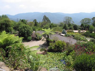 The pond