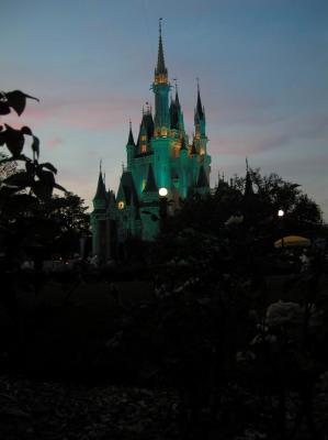 Disney World 2003