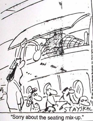 overhead bin seat.jpg