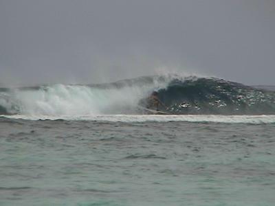 one of my best wave's this day..black rock..rarotonga
