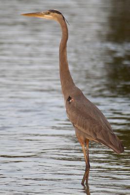 DSC_2182.jpg