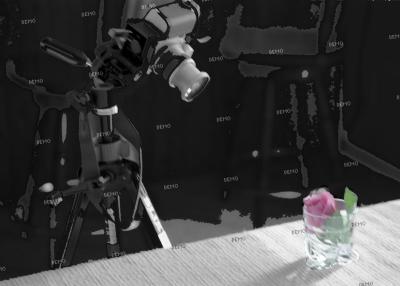 2tripod.jpg