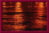 redseaDSCN6919.jpg