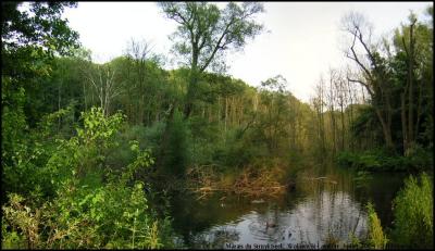 Marais du Struykbeek, Woluwe-St-Lambert.