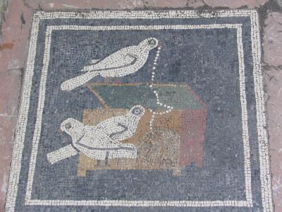 IMG0330.JPG