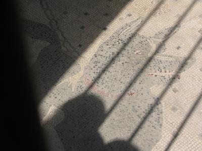 IMG0318.JPG