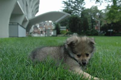 July20_04_038.JPG