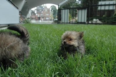 July20_04_067.JPG